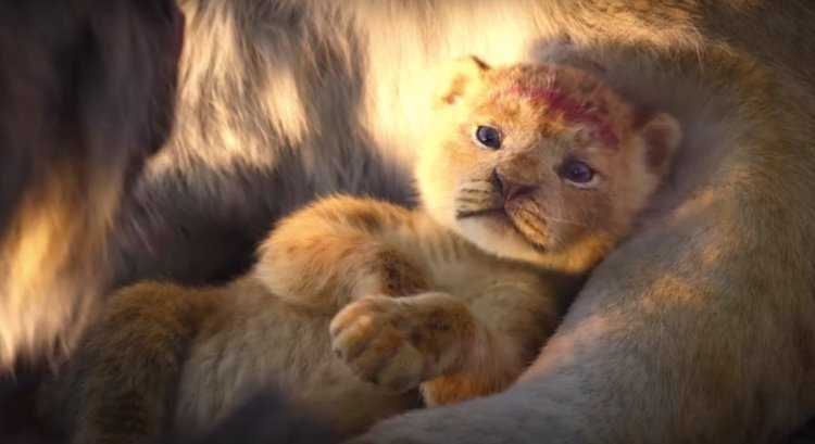 Кадр з фільму "Король Лев"