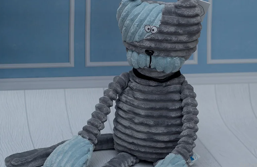Кот Вася