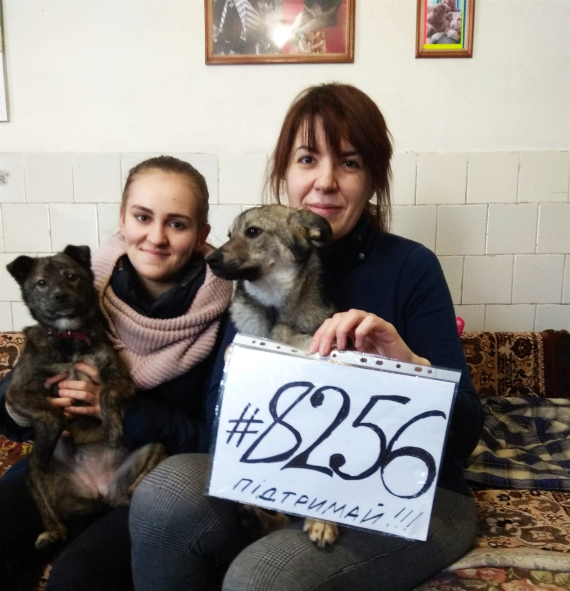 Законопроєкт №8256 стосувався підготовки собак до полювання