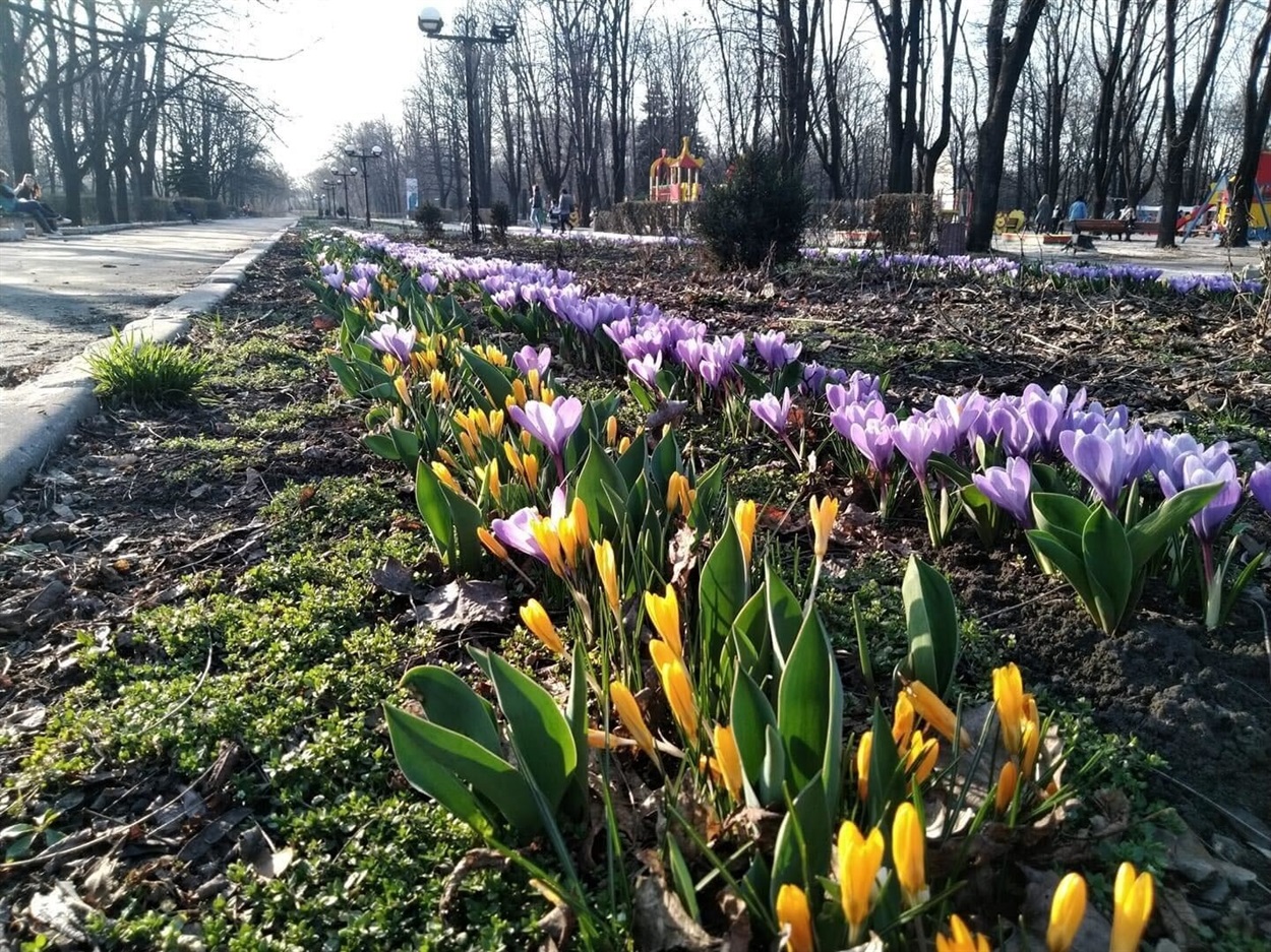 Парк Добропілля, який дуже люблять місцеві