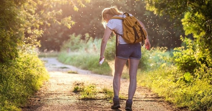 Як захиститись від комарів на природі
