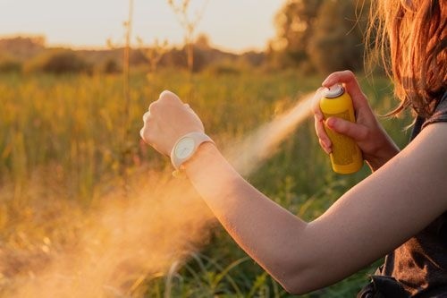 Як захиститись від комарів